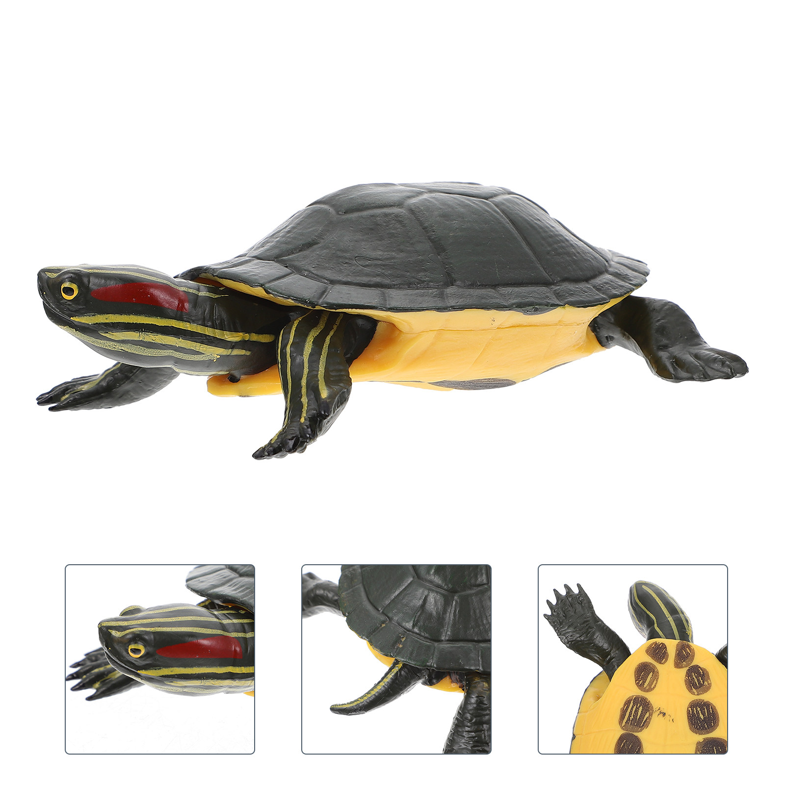 Educational Turtle Sculpture P - đánh giá và giá Science Toy