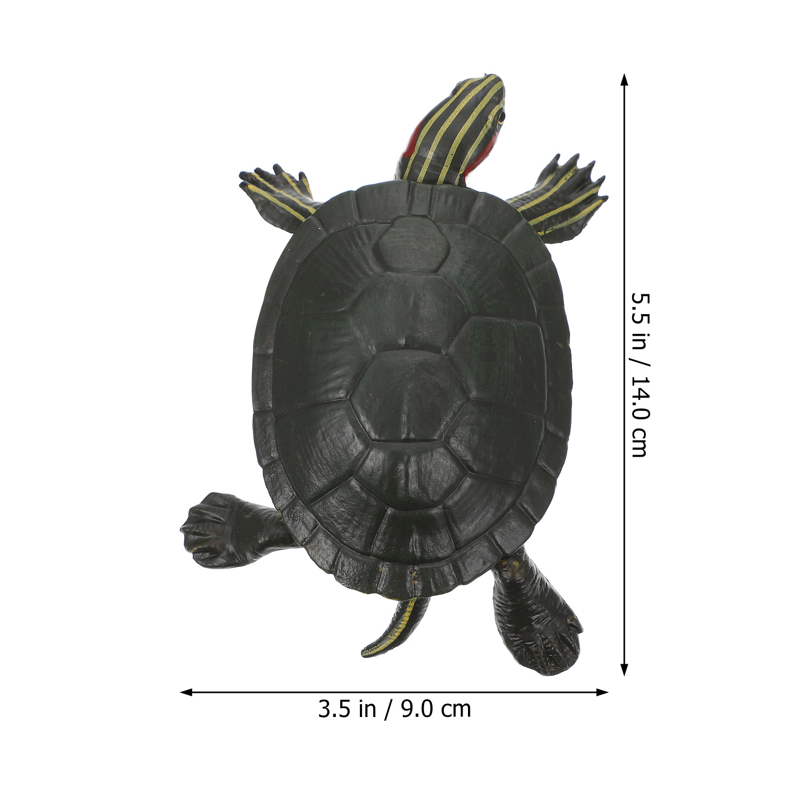 Educational Turtle Sculpture P - đánh giá và giá Science Toy