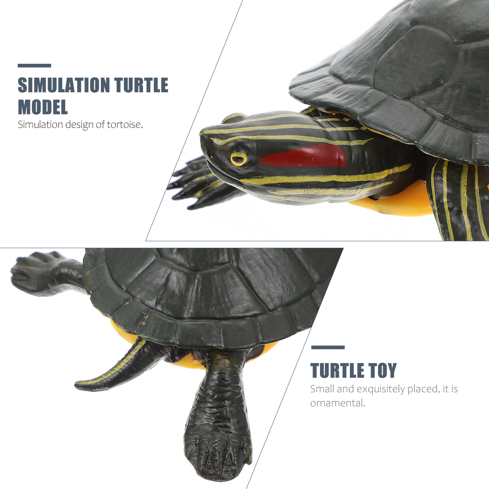 Educational Turtle Sculpture P - đánh giá và giá Science Toy