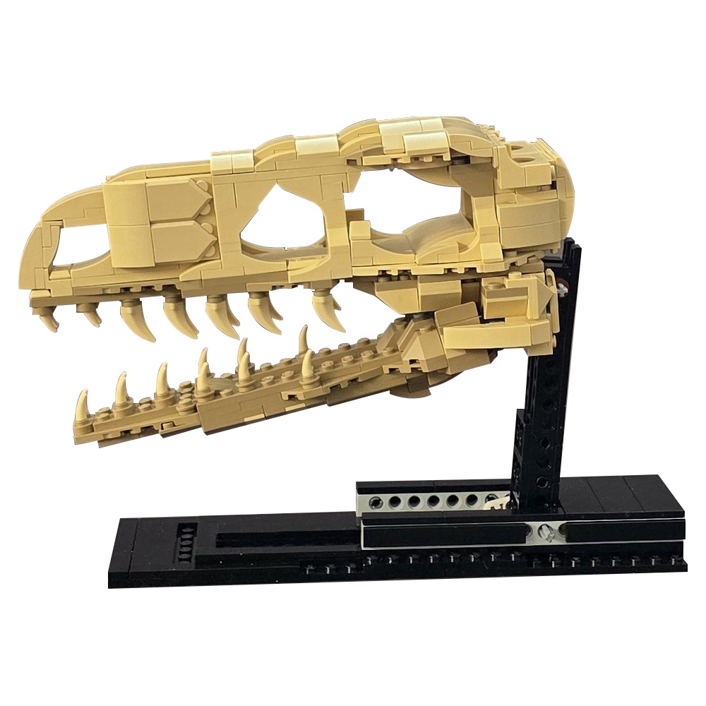 MOC Velociraptor Fossil Skull  - đánh giá và giá Fossil Replica Display