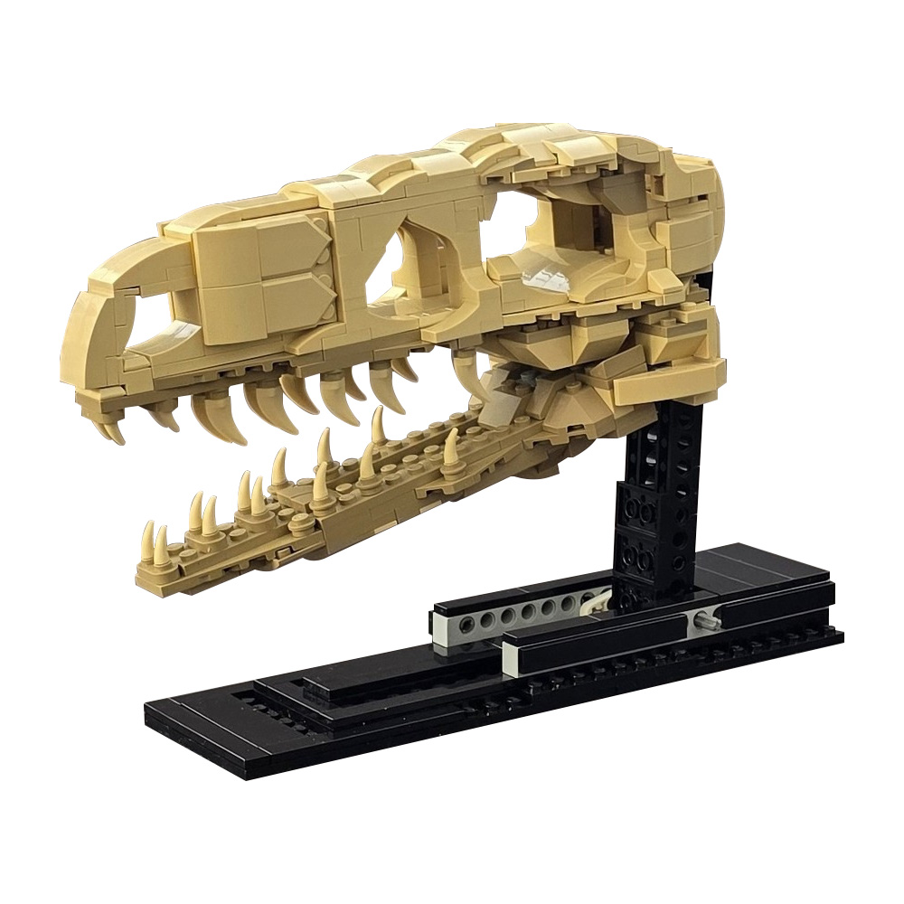 MOC Velociraptor Fossil Skull  - đánh giá và giá Fossil Replica Display