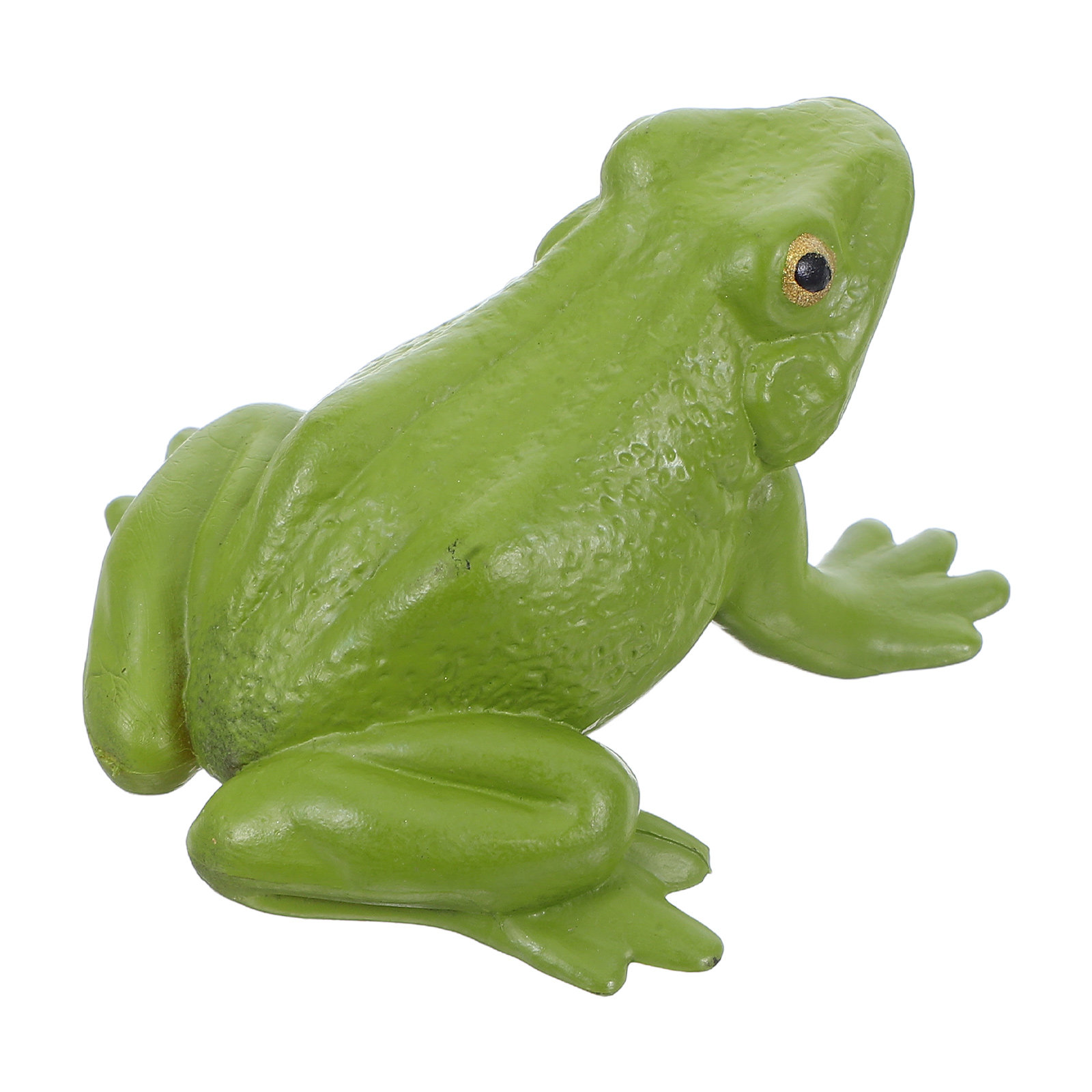 Realistic Tree Frog PVC Small  - đánh giá và giá Science Toy