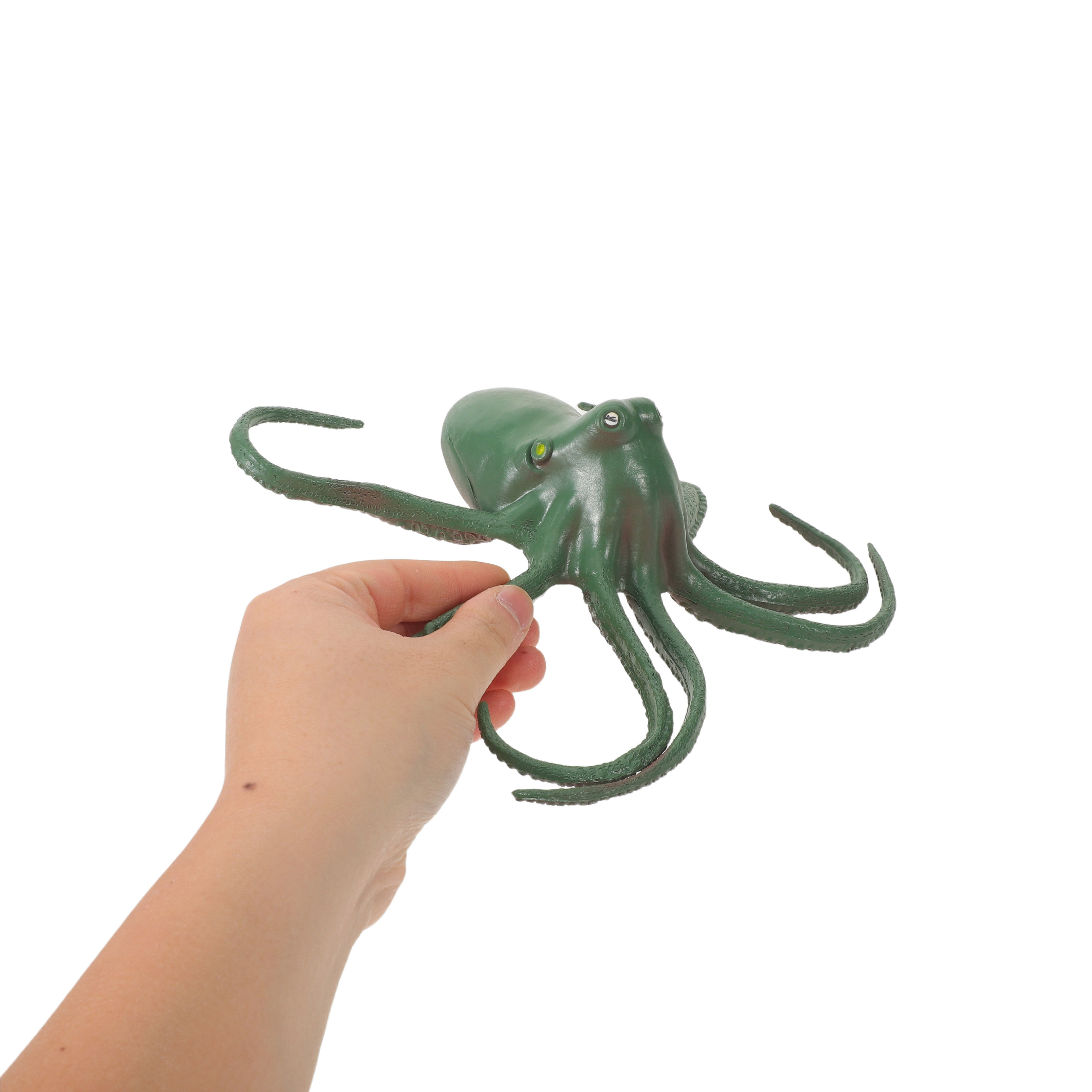 Octopus Squeaky Marine Animal  - đánh giá và giá Science Toy